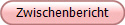 Zwischenbericht