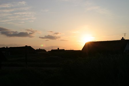 dän19