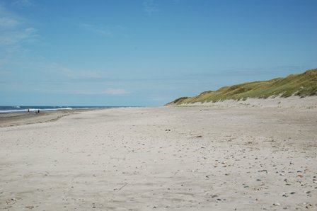 dän6