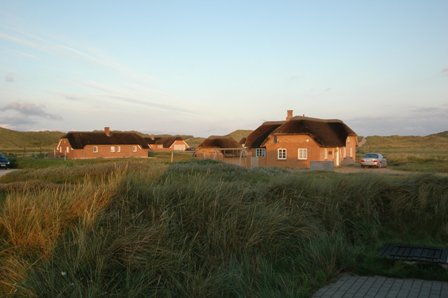 dän7