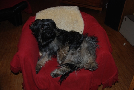 Maty1