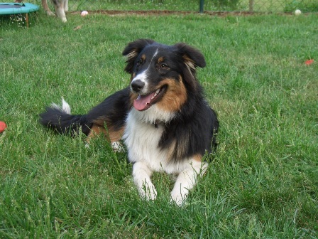 josie