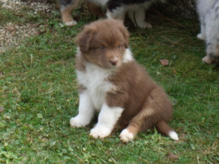little1
