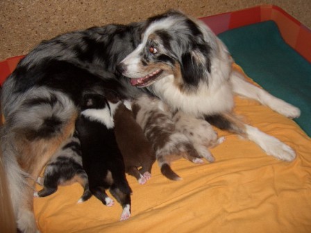 Mama