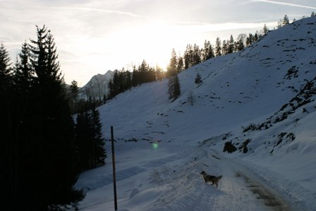 Oesi15