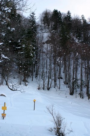 Oesi5